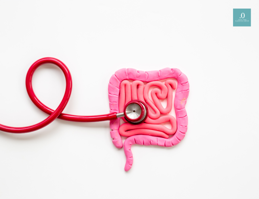Why Gut Health and Ayurveda Are the Ultimate Path to Wellness